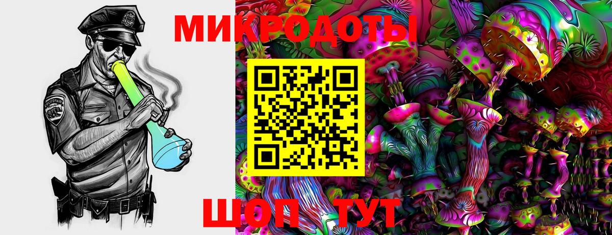 Псилоцибиновые грибы Cubensis  Вход с VPN  Лысьва 